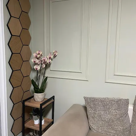 펜션 Harmony House 티라나